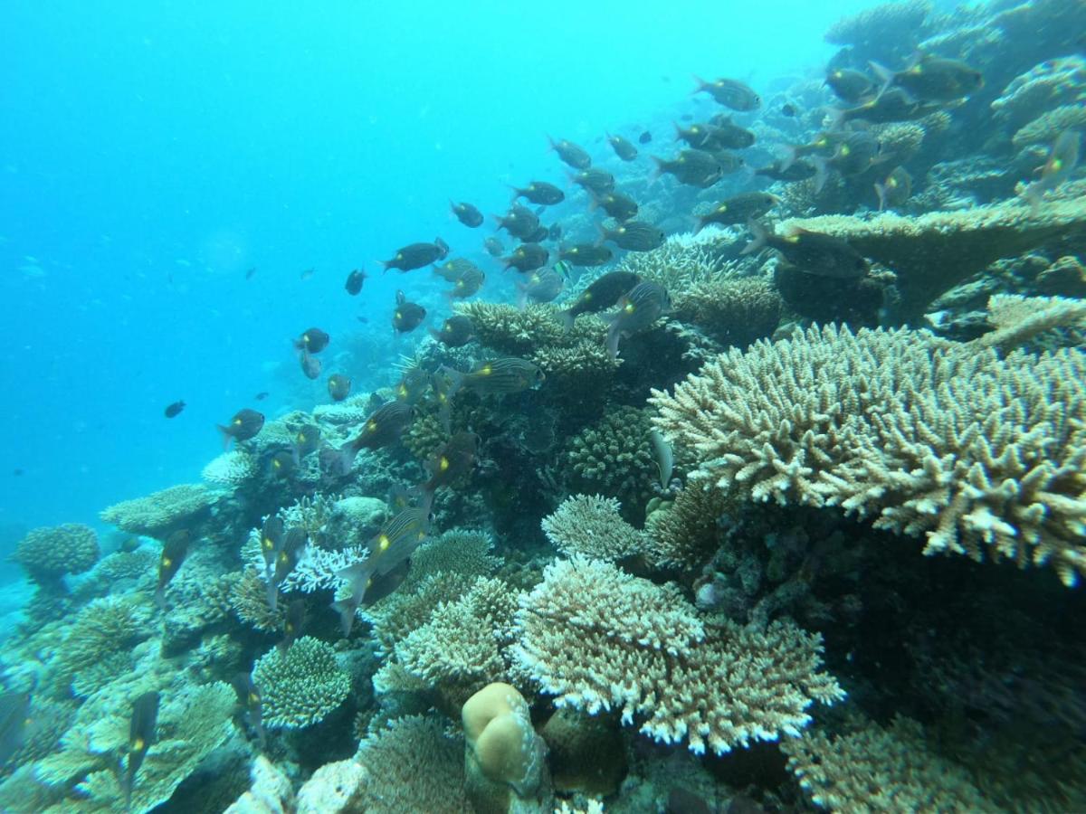 The Sky Maldives Гали Экстерьер фото