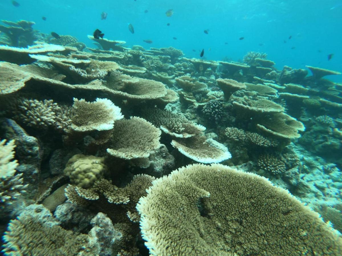 The Sky Maldives Гали Экстерьер фото